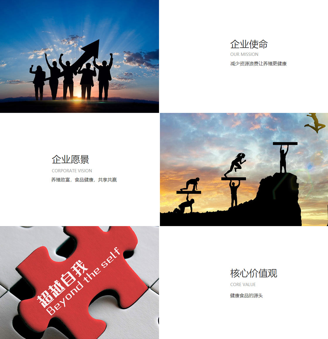 冰球突破豪华版官网(图1)